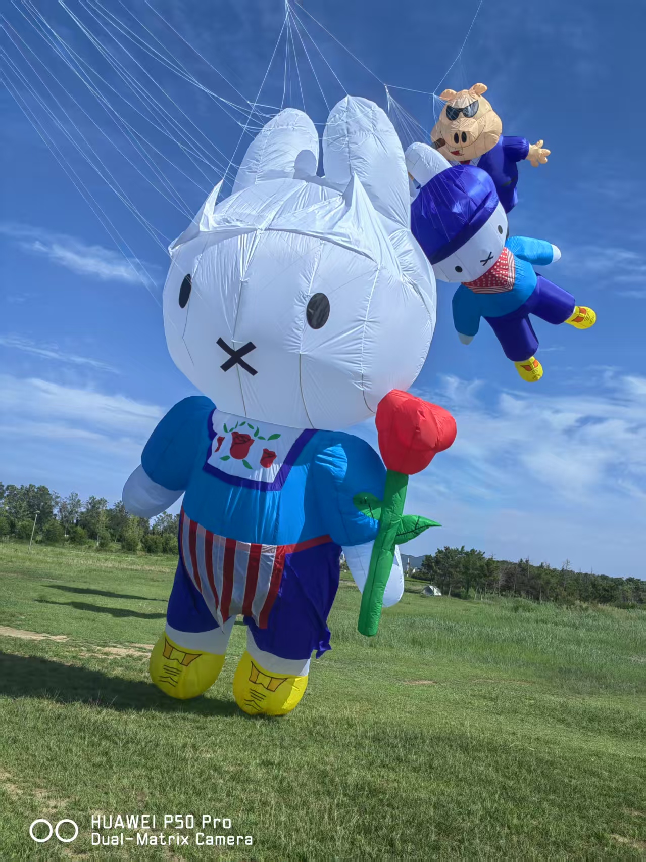绥化市儿童风筝定制风筝制作 - 厂家